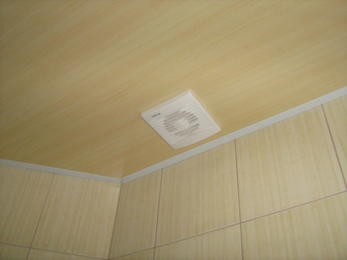 Plafond PVC mat.