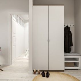 خزانة ملابس مع الأبواب المتأرجحة إلى أفكار تصميم المدخل