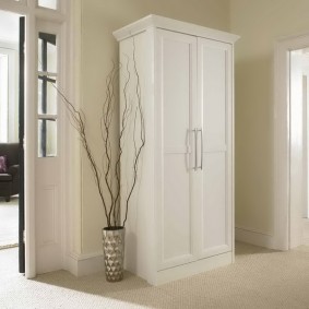 koridor fotoğraf tasarımı menteşeli kapılar ile dolap